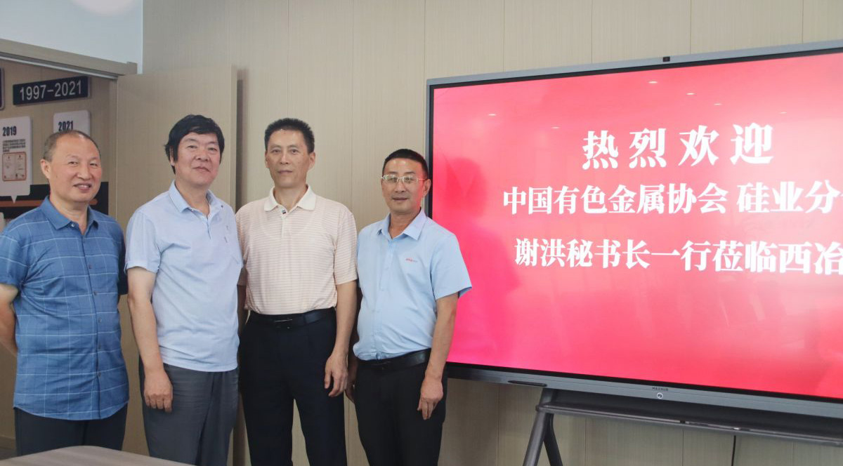 中國(guó)金屬工業(yè)協(xié)會(huì)硅業(yè)分會(huì)謝秘書長(zhǎng)一行蒞臨西冶參觀交流